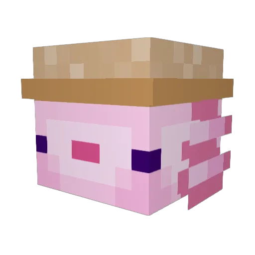 SirDorade Minecraft avatar head, 3D render