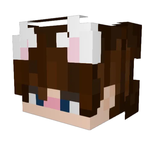 SirEconn Minecraft avatar head, 3D render
