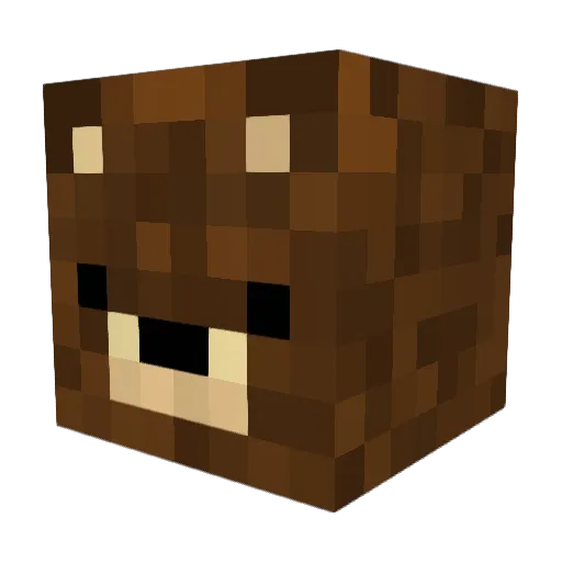 SirFelitschaesss Minecraft avatar head, 3D render