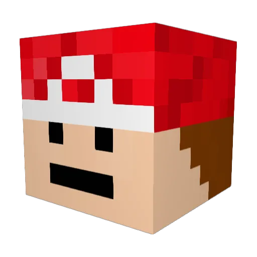 SirFerdinand3 Minecraft avatar head, 3D render