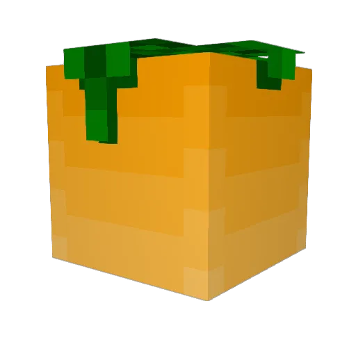 SirFroot Minecraft avatar head, 3D render