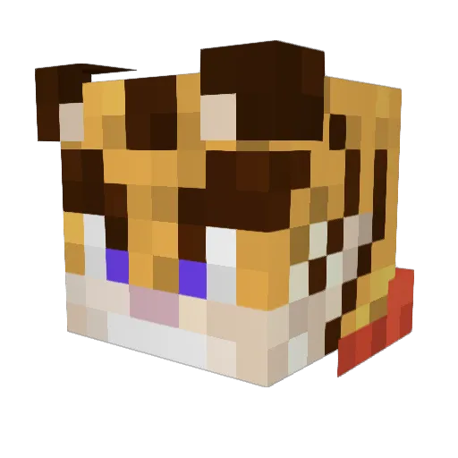 SirGrako Minecraft avatar head, 3D render