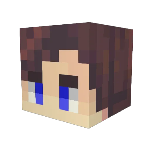 SirGrumpy_ Minecraft avatar head, 3D render