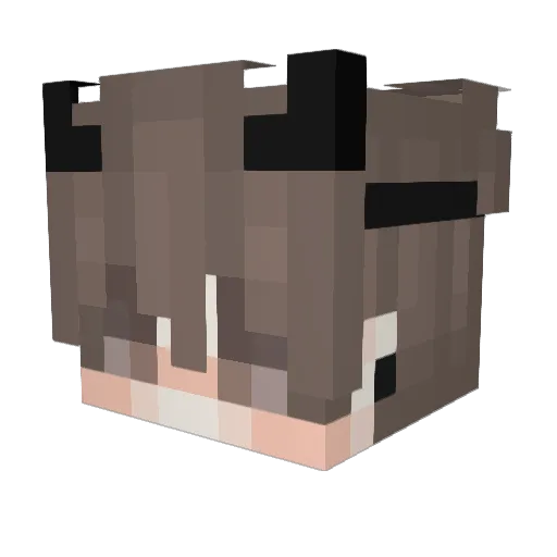 SirHiroki Minecraft avatar head, 3D render