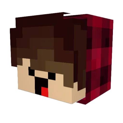 SirHubertJLeap Minecraft avatar head, 3D render