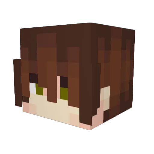 SirJakThe1st Minecraft avatar head, 3D render
