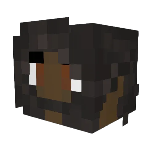 SirJiminyCricket Minecraft avatar head, 3D render