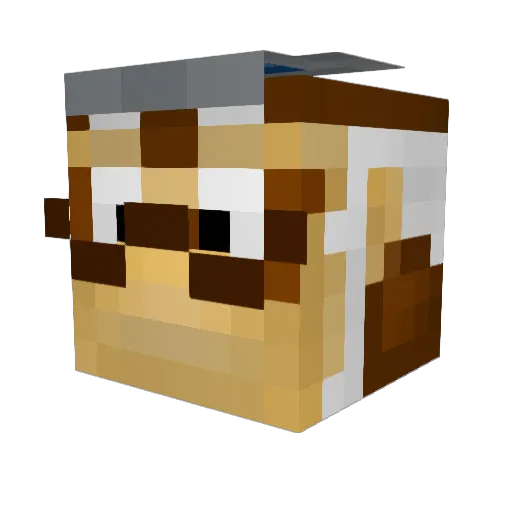 SirJon_ Minecraft avatar head, 3D render