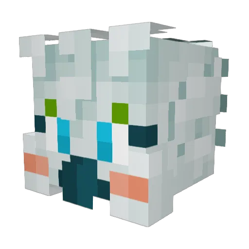 SirK00L Minecraft avatar head, 3D render