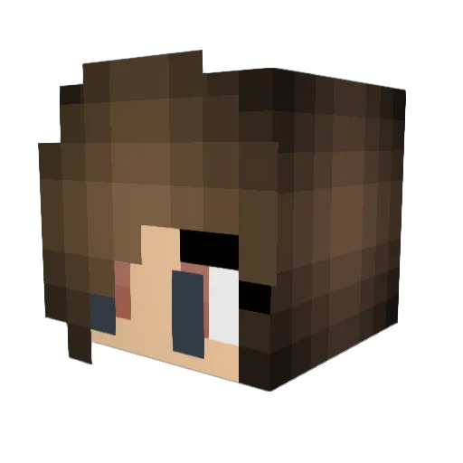 SirKnightShift Minecraft avatar head, 3D render