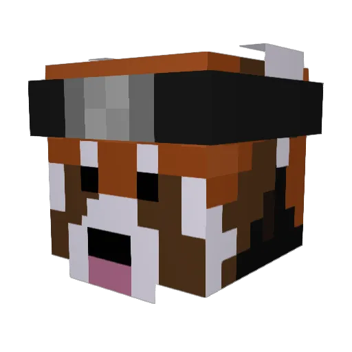 SirLeopard Minecraft avatar head, 3D render