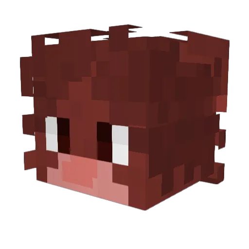 SirMaji Minecraft avatar head, 3D render