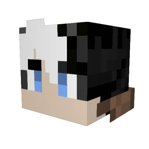 SirMcFlurry Minecraft avatar head, 3D render