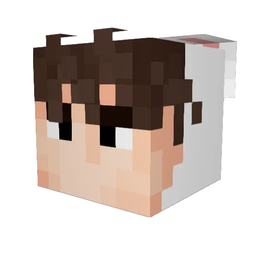 SirMoney05 Minecraft avatar head, 3D render
