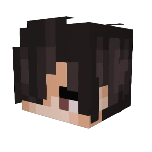 SirMonteCristo Minecraft avatar head, 3D render