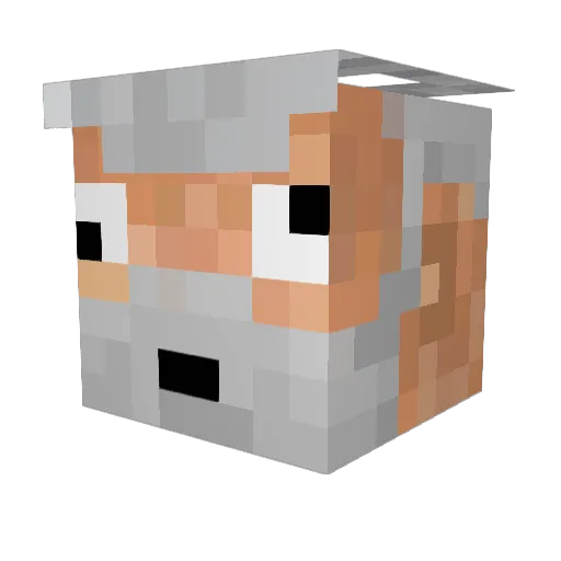 SirNaCl Minecraft avatar head, 3D render