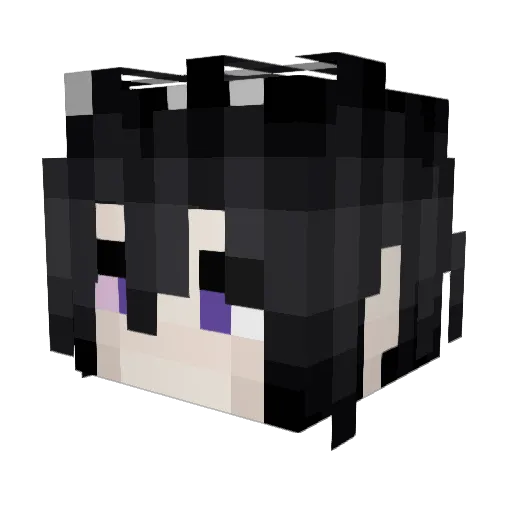 SirNan_ Minecraft avatar head, 3D render