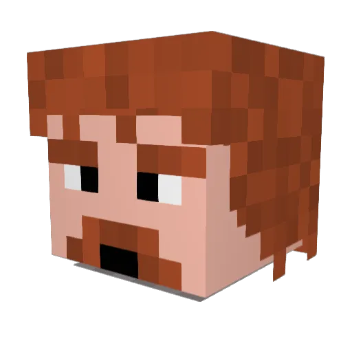 SirPadraig Minecraft avatar head, 3D render