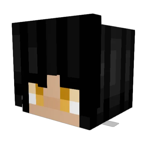SirPies Minecraft avatar head, 3D render