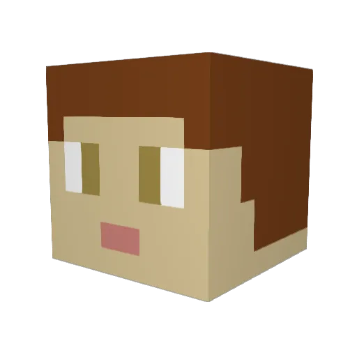 SirPridwen Minecraft avatar head, 3D render