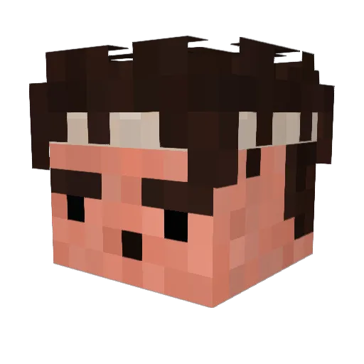 SirSammyBoy Minecraft avatar head, 3D render
