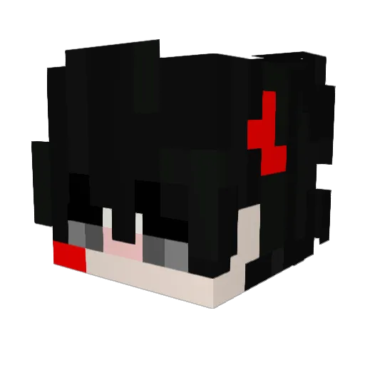 SirSanTNT Minecraft avatar head, 3D render