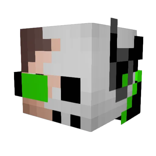 SirSchiznit Minecraft avatar head, 3D render