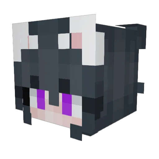 SirSchnauzer95 Minecraft avatar head, 3D render