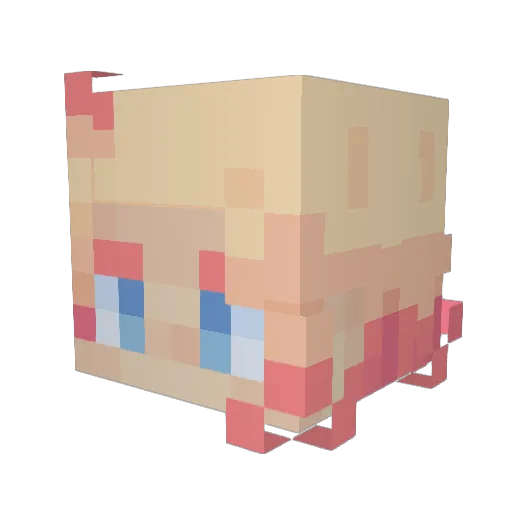 SirSilenozZ Minecraft avatar head, 3D render