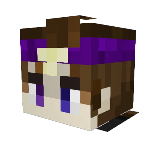 SirSnowShark Minecraft avatar head, 3D render