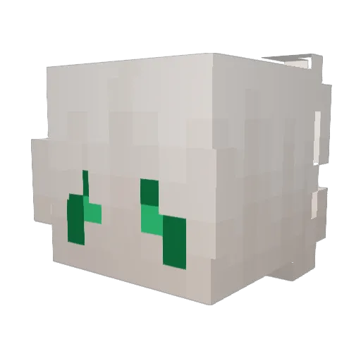 SirSpooky0 Minecraft avatar head, 3D render