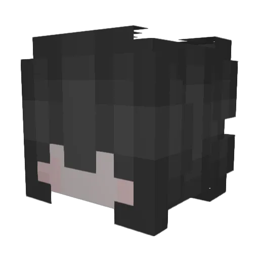 SirStitchess Minecraft avatar head, 3D render