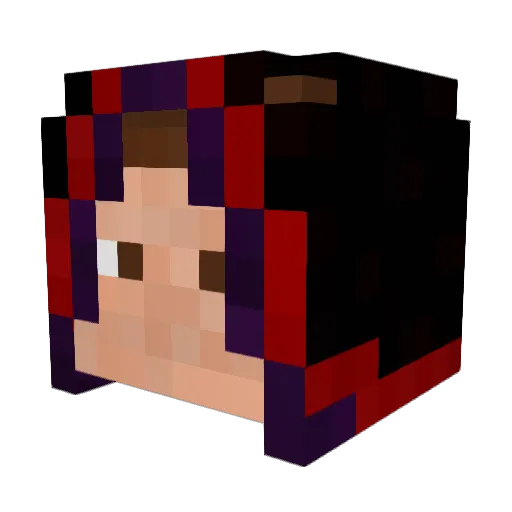 SirTurdle Minecraft avatar head, 3D render