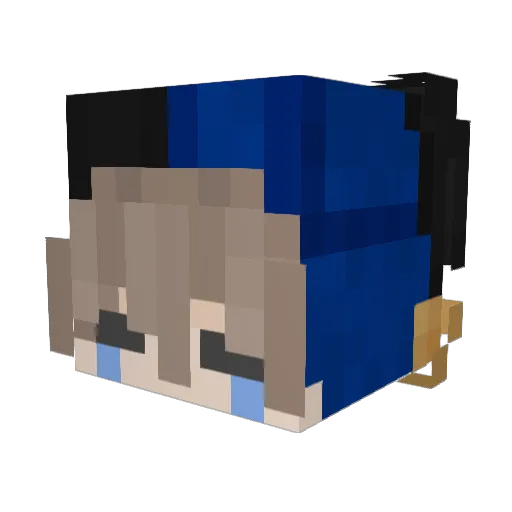SirWeeper Minecraft avatar head, 3D render