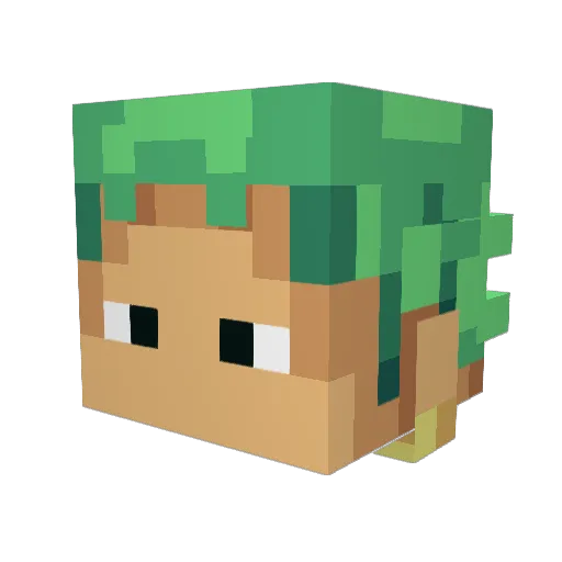 SirWestfield Minecraft avatar head, 3D render