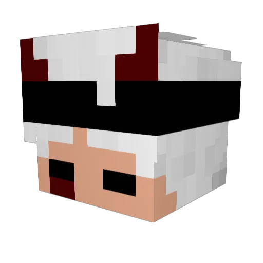 SirWiIson6 Minecraft avatar head, 3D render