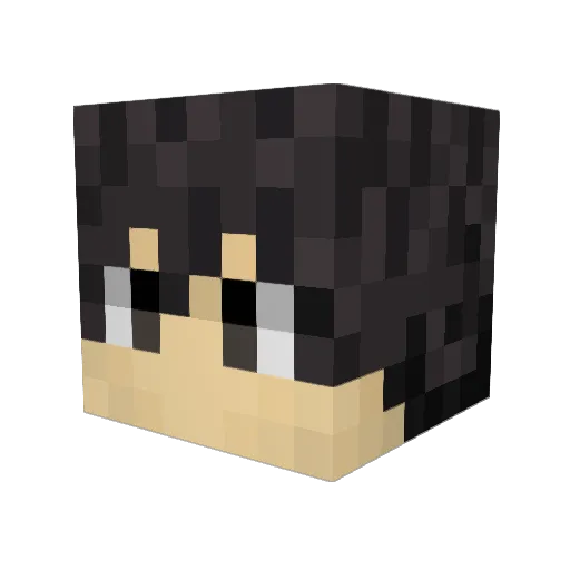 SirWinkus2 Minecraft avatar head, 3D render