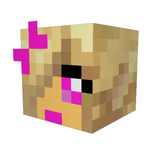 Sir_Anden Minecraft avatar head, 3D render