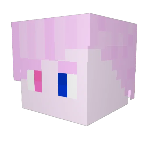 Sir_Arceus_YT Minecraft avatar head, 3D render