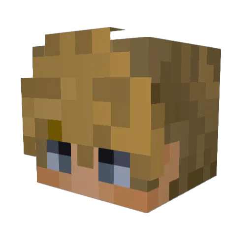 Sir_Biam Minecraft avatar head, 3D render
