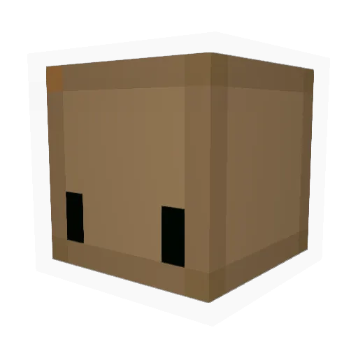 Sir_Box Minecraft avatar head, 3D render
