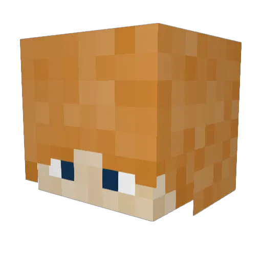 Sir_Buns Minecraft avatar head, 3D render