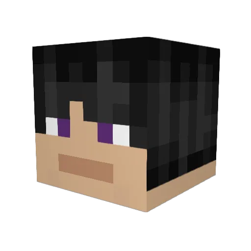 Sir_EndTraveller Minecraft avatar head, 3D render
