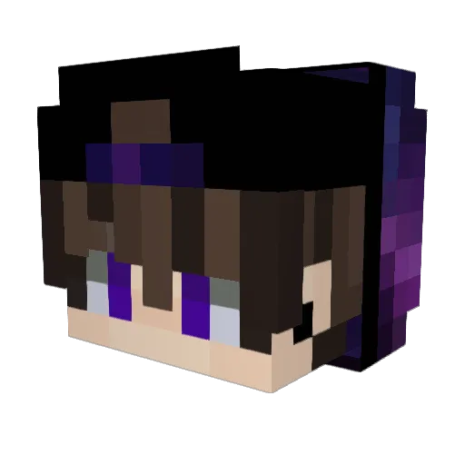 Sir_Fallout Minecraft avatar head, 3D render