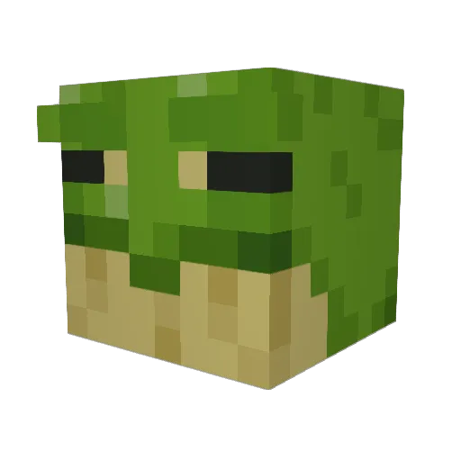 Sir_Froggo_ Minecraft avatar head, 3D render