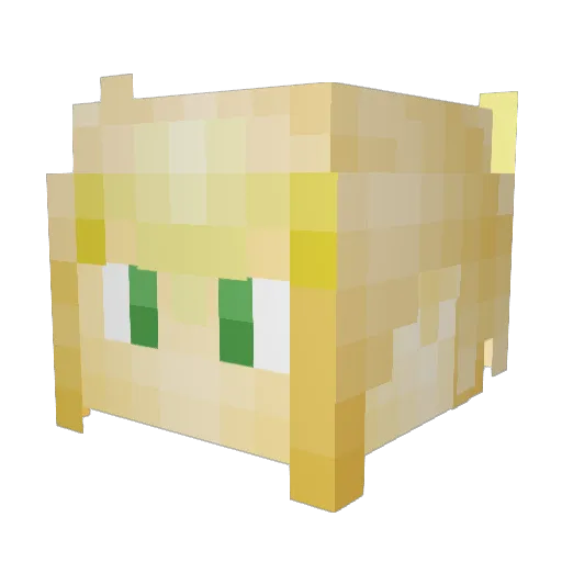 Sir_Hiccup Minecraft avatar head, 3D render