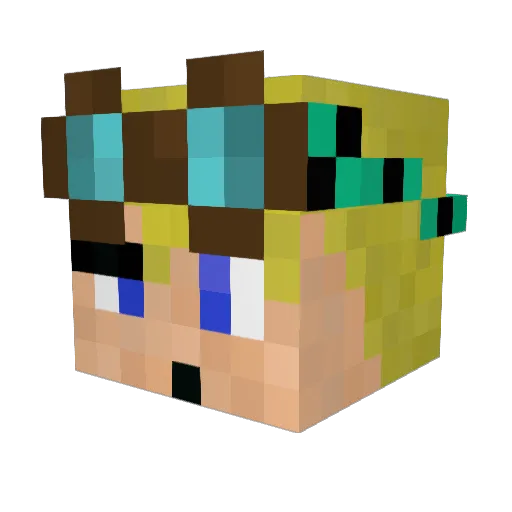 Sir_Higginbottom Minecraft avatar head, 3D render