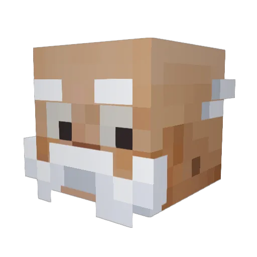 Sir_Human03 Minecraft avatar head, 3D render