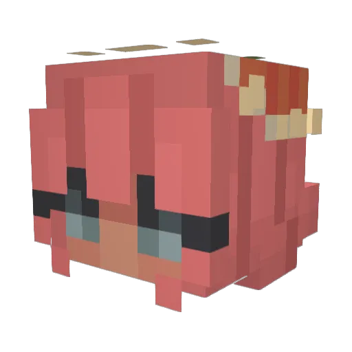 Sir_Newt_ Minecraft avatar head, 3D render