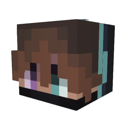 Sir_Quackesalot Minecraft avatar head, 3D render